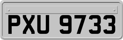 PXU9733