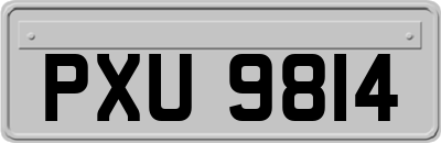 PXU9814