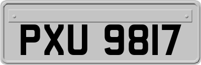 PXU9817