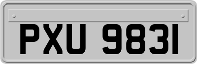 PXU9831