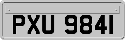 PXU9841