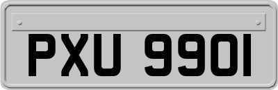 PXU9901