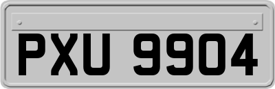 PXU9904