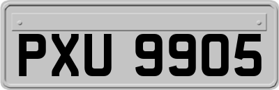 PXU9905