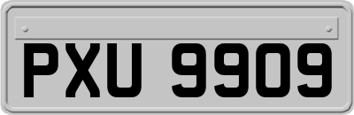 PXU9909