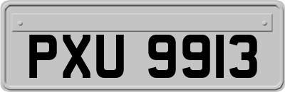 PXU9913