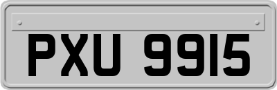 PXU9915