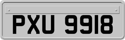 PXU9918