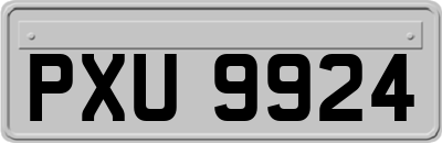 PXU9924