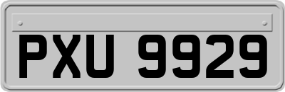 PXU9929