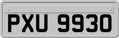 PXU9930