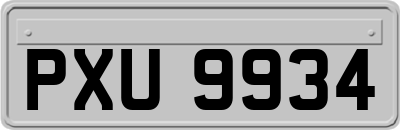 PXU9934