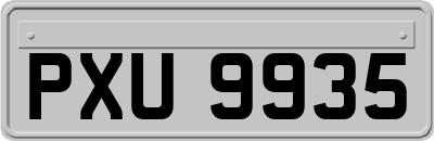 PXU9935