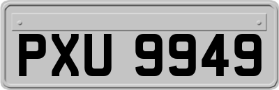 PXU9949