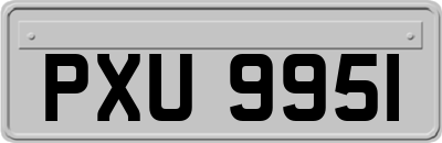 PXU9951