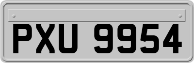 PXU9954