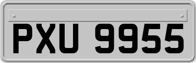 PXU9955