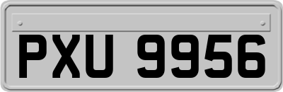 PXU9956