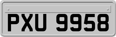 PXU9958