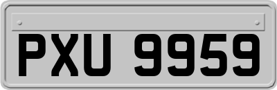 PXU9959