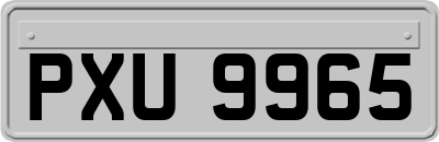 PXU9965