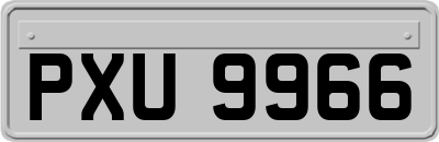 PXU9966