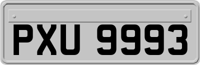 PXU9993