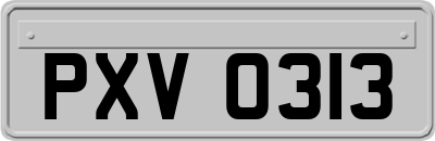 PXV0313