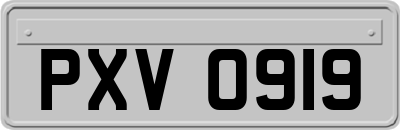 PXV0919