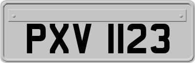 PXV1123