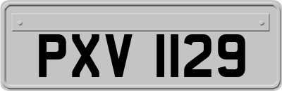 PXV1129