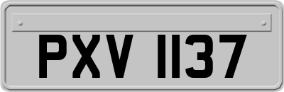 PXV1137