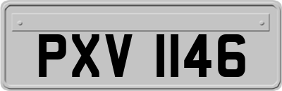 PXV1146