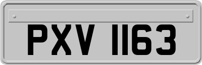 PXV1163