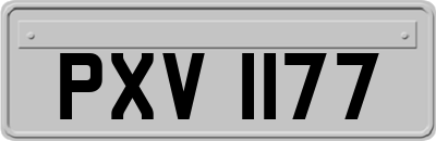 PXV1177