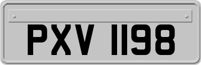 PXV1198