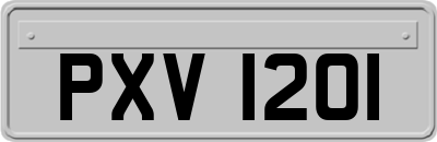 PXV1201