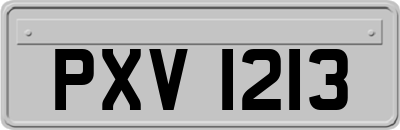 PXV1213