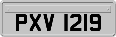 PXV1219