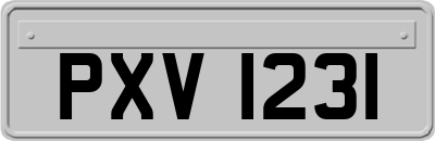 PXV1231