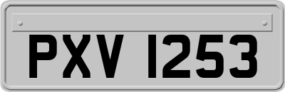 PXV1253