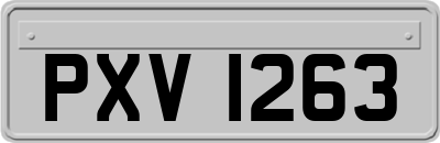 PXV1263