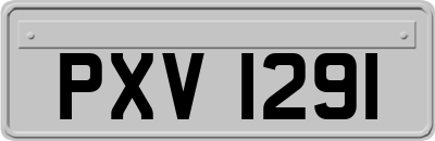 PXV1291