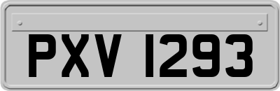 PXV1293