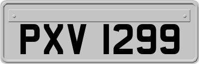 PXV1299