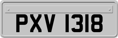 PXV1318