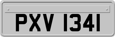 PXV1341