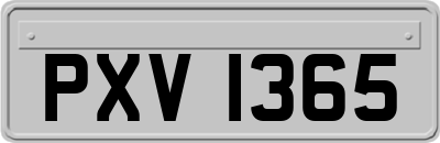 PXV1365