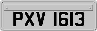 PXV1613