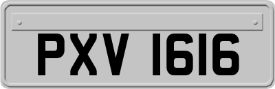 PXV1616